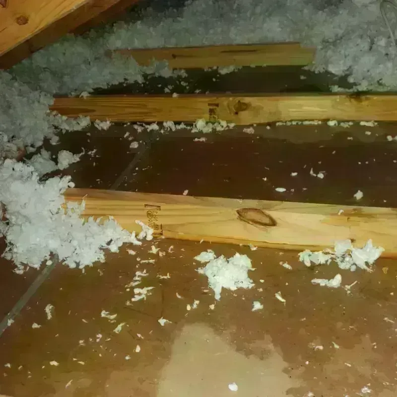 Attic Water Damage in New Hanover County, NC