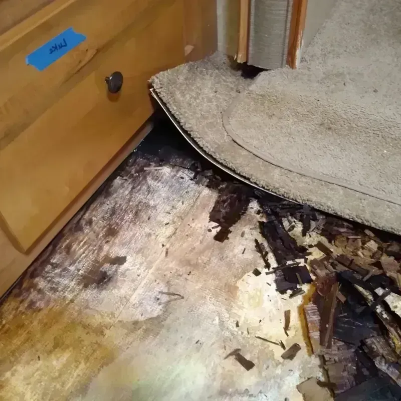 Wood Floor Water Damage in New Hanover County, NC